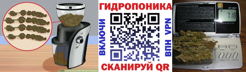 где можно купить   Курганинск  Canna-Cookies конопля 