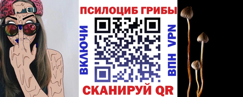 Галлюциногенные грибы Magic Shrooms  Курганинск 